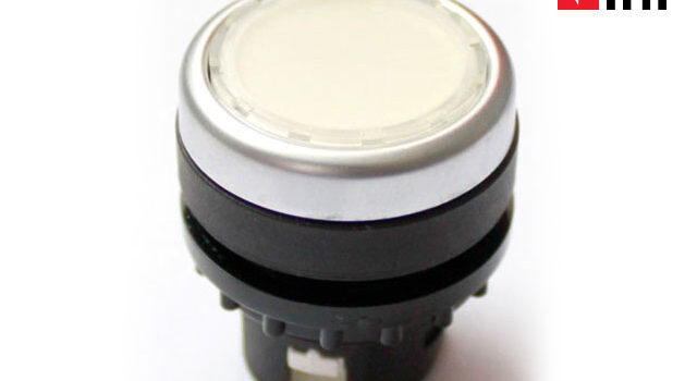 Start-Button-Polar-Mohr